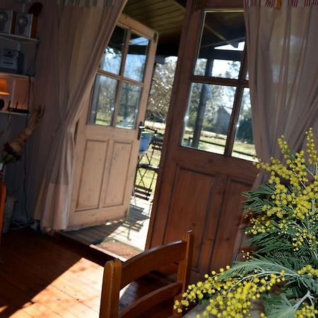 Gite Foret Landaise Sainte-Eulalie-en-Born Esterno foto