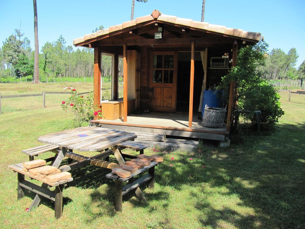 Gite Foret Landaise Sainte-Eulalie-en-Born Esterno foto