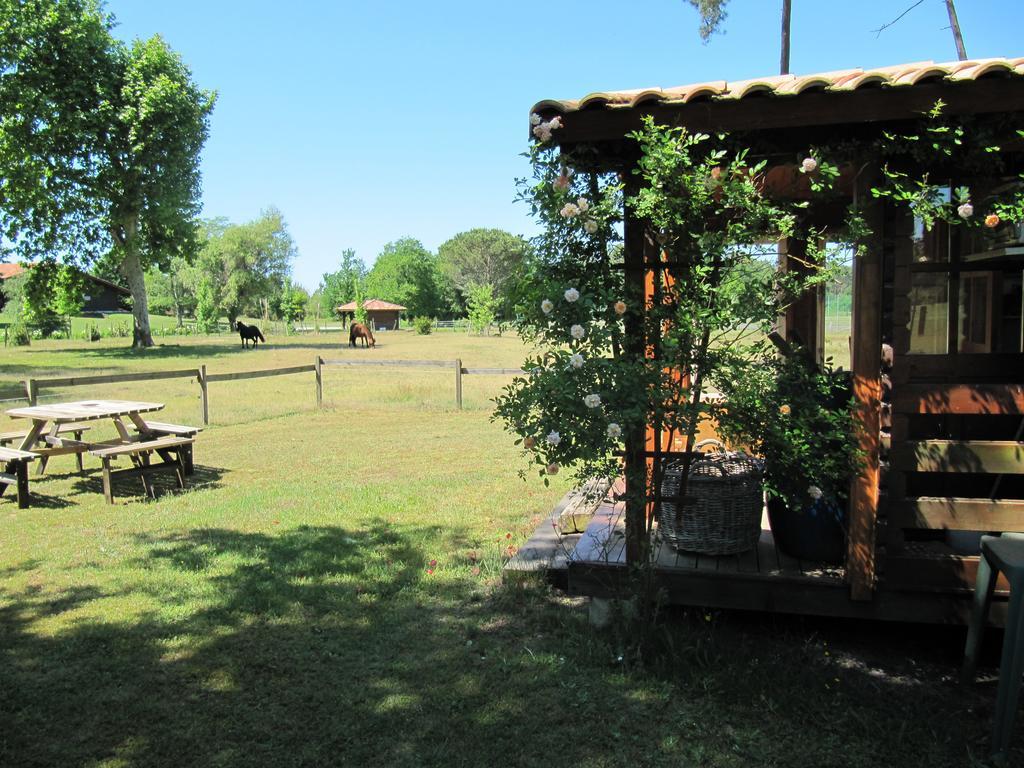 Gite Foret Landaise Sainte-Eulalie-en-Born Esterno foto