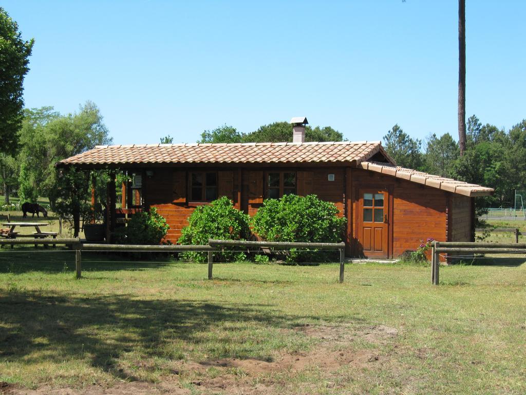 Gite Foret Landaise Sainte-Eulalie-en-Born Esterno foto