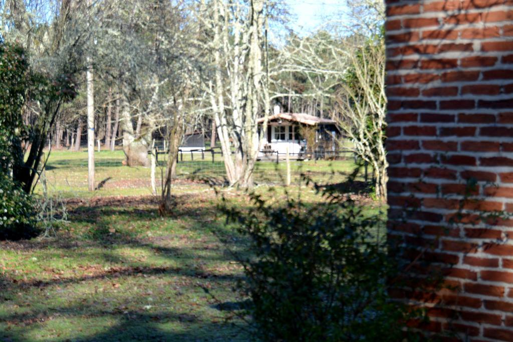 Gite Foret Landaise Sainte-Eulalie-en-Born Esterno foto